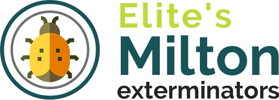 Milton Exterminators – Reliable Pest Control in Milton Ontario
